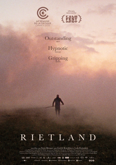 Poster Rietland
