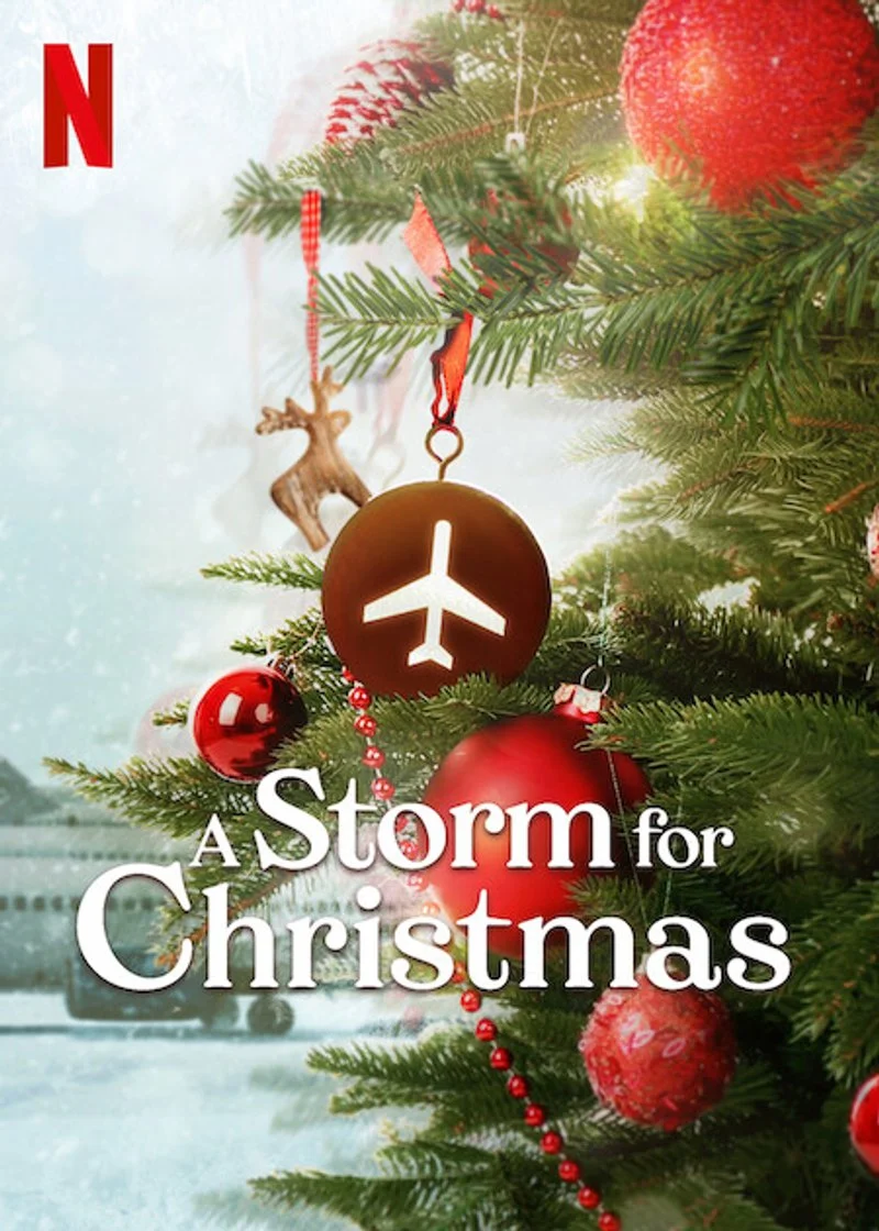 Affiche de Tempête de Noël