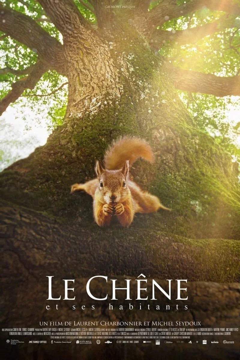 Affiche de Le Chêne