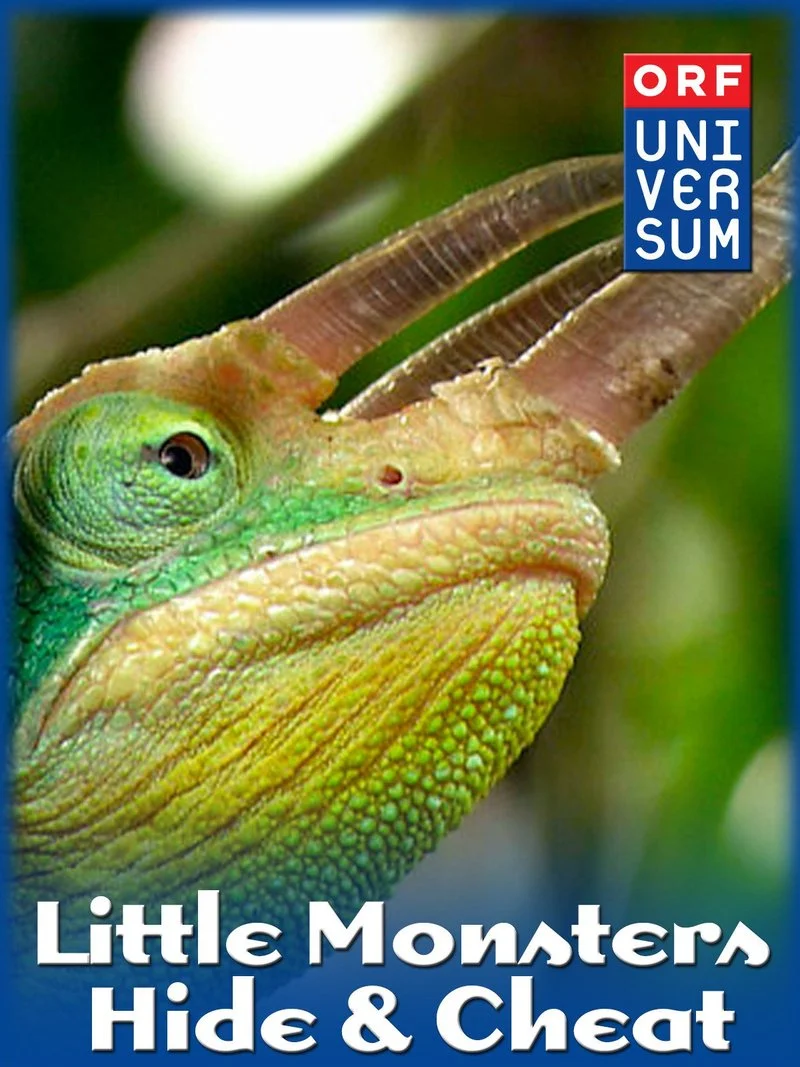 Affiche de Little Monsters