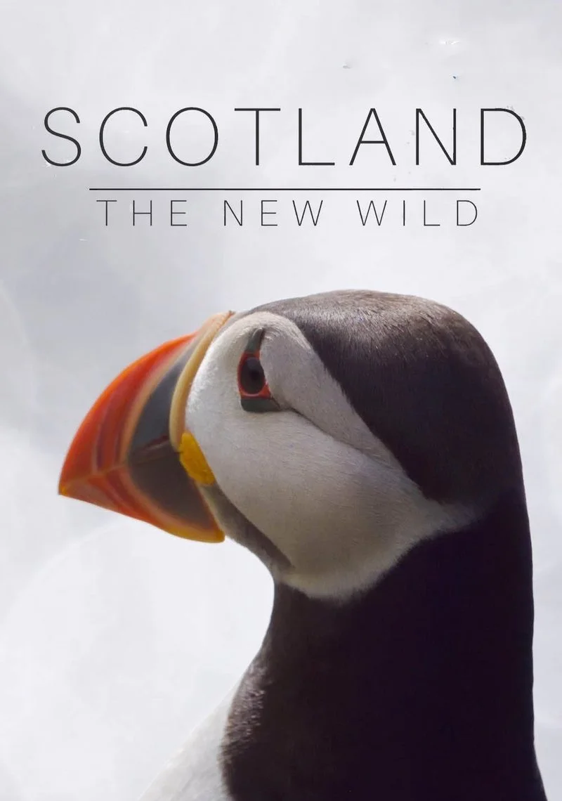 Affiche de Scotland: The New Wild