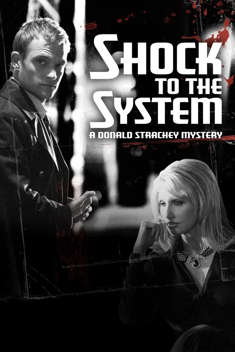 Affiche de Shock to the System: A Donald Strachey Mystery