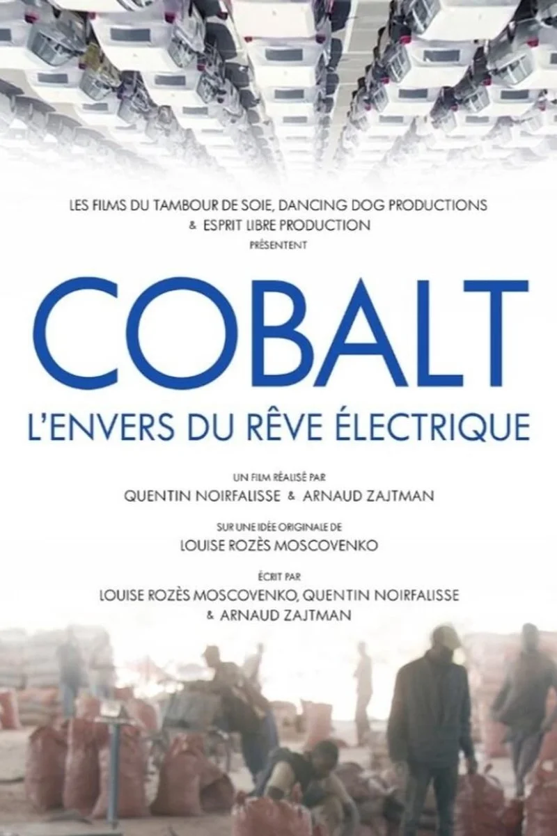 Affiche de Cobalt, l'envers du rêve électrique
