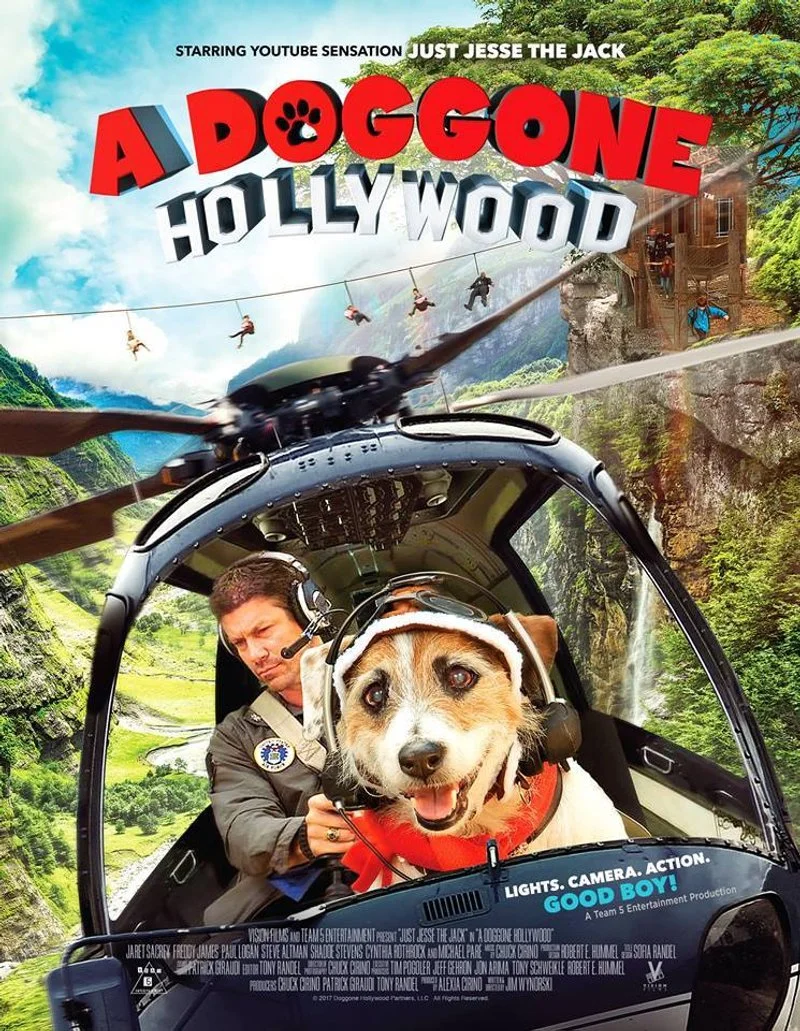 Affiche de A Doggone Hollywood