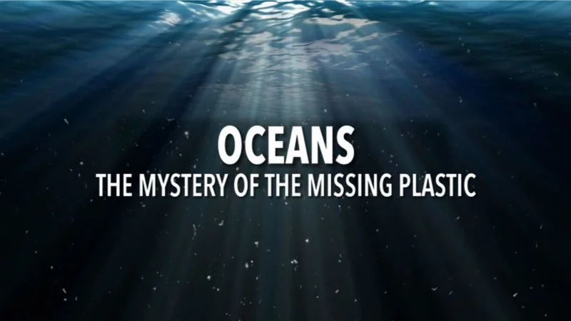 Affiche de Océans, le mystère plastique