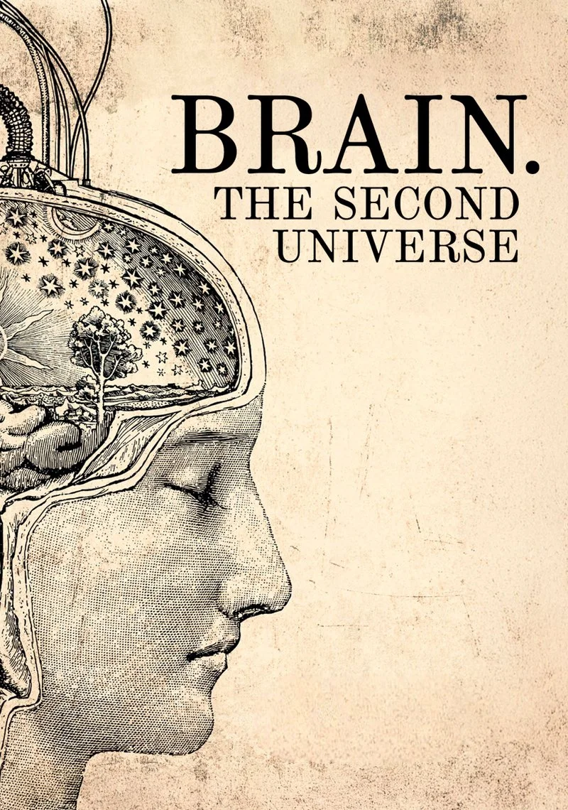 Affiche de Brain. Second Universe