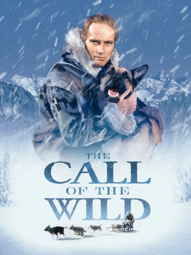 Affiche de L'appel de la forêt