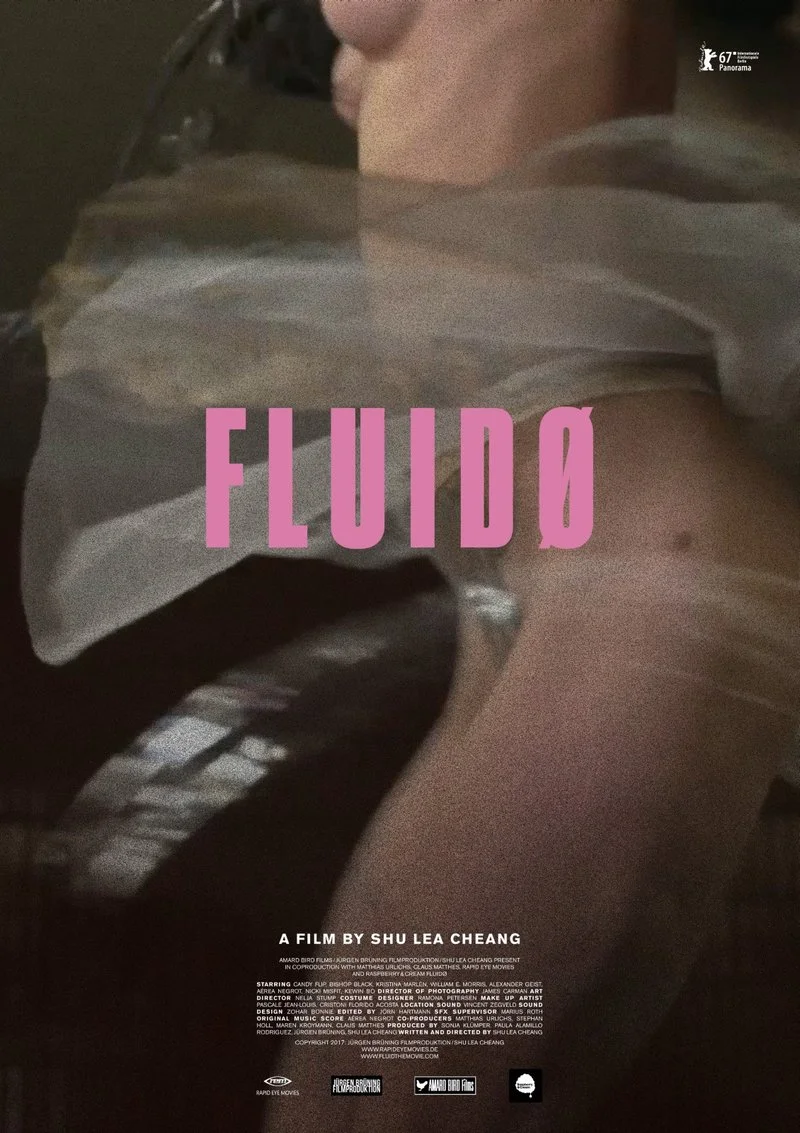 Affiche de Fluidø