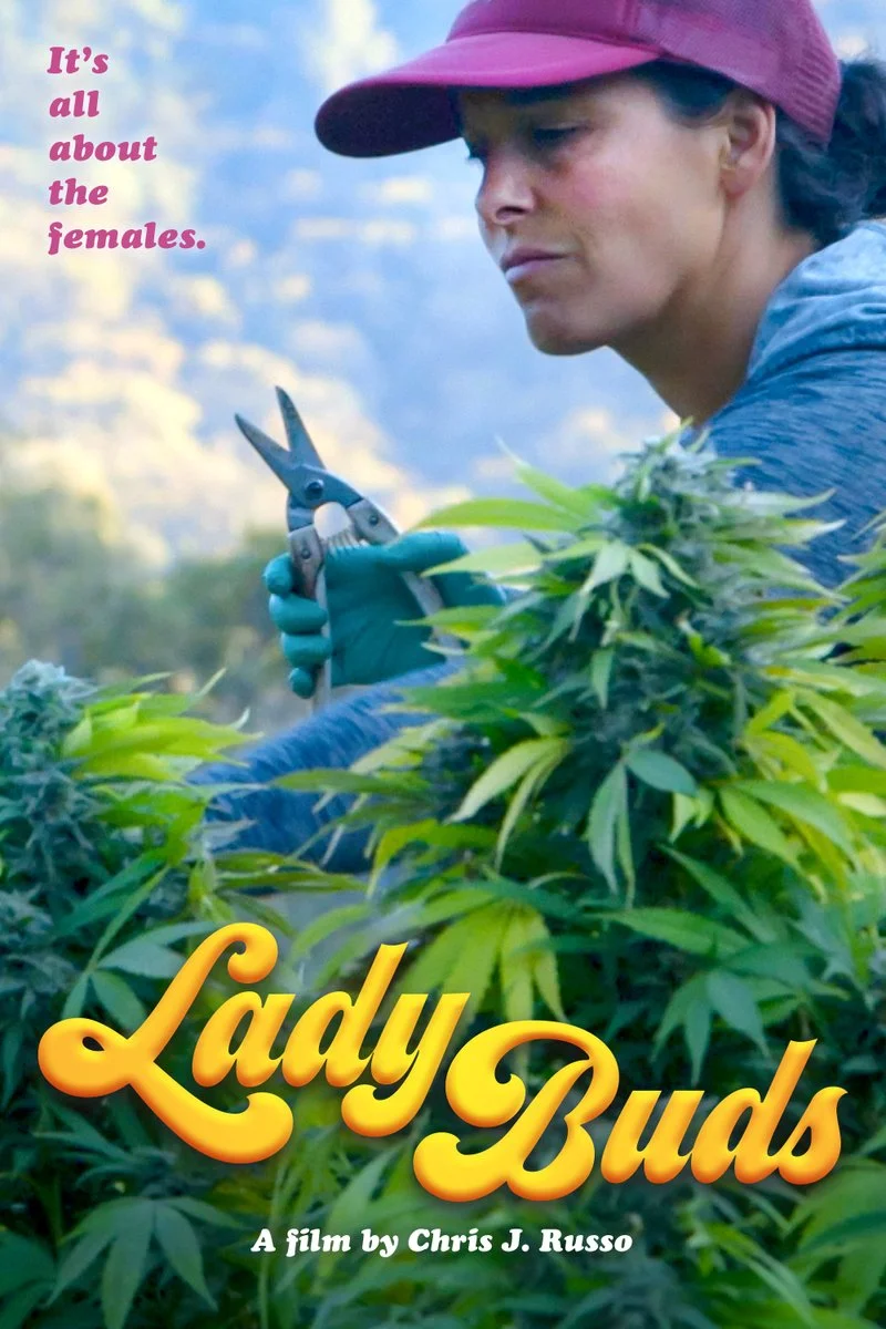 Affiche de Lady Buds
