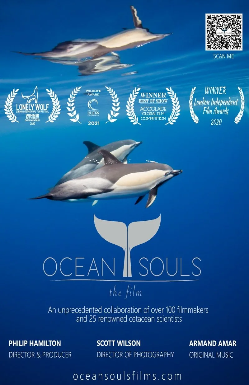 Poster van Ocean Souls