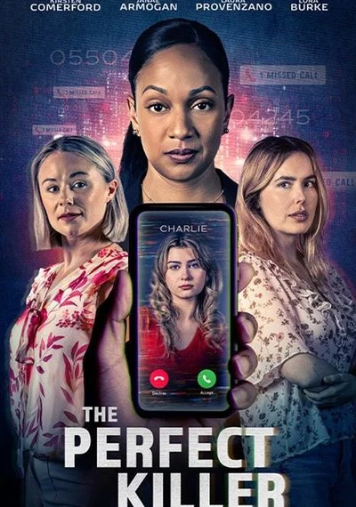 Affiche The Perfect Killer