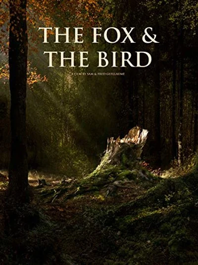 Poster The Fox & the Bird