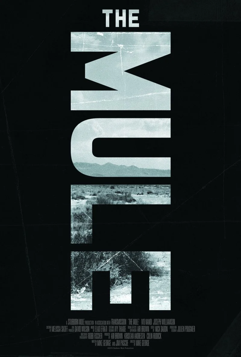 Affiche de The Mule