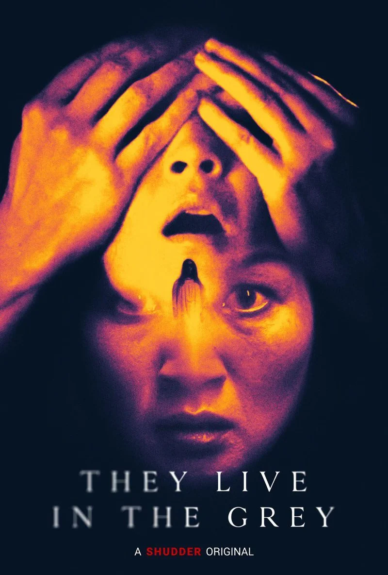 Affiche de They Live in the Grey
