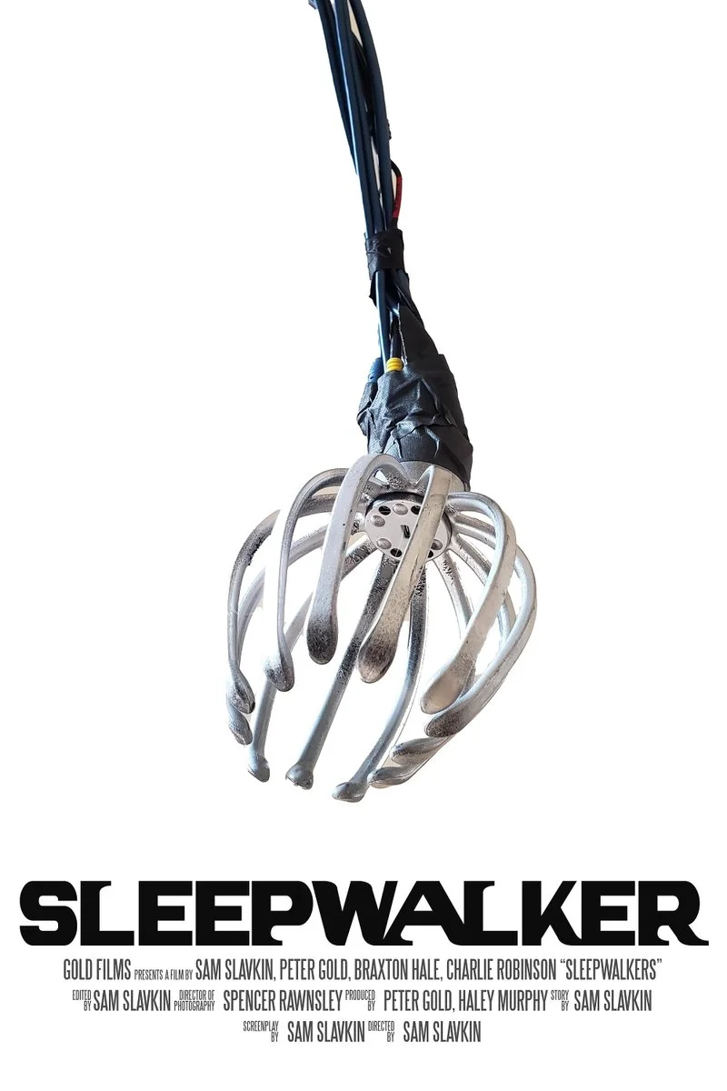 Affiche de Sleepwalker