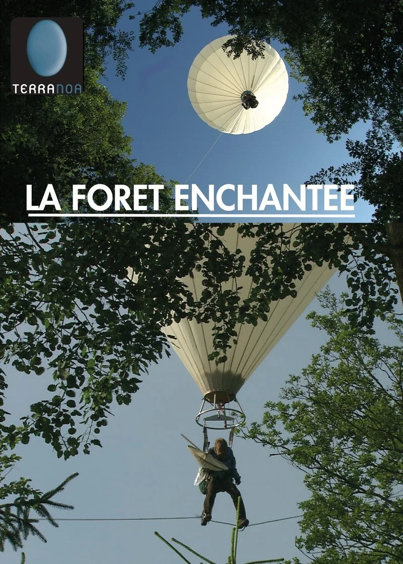 Poster van La foret enchantée