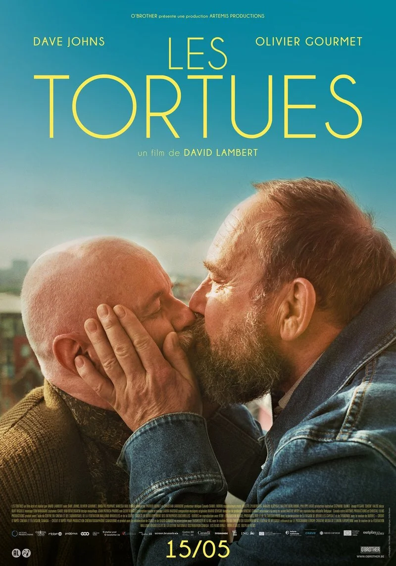 Poster van Turtles