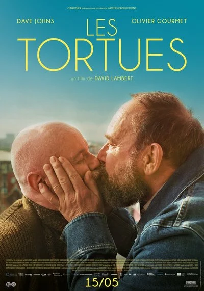 Affiche Les Tortues