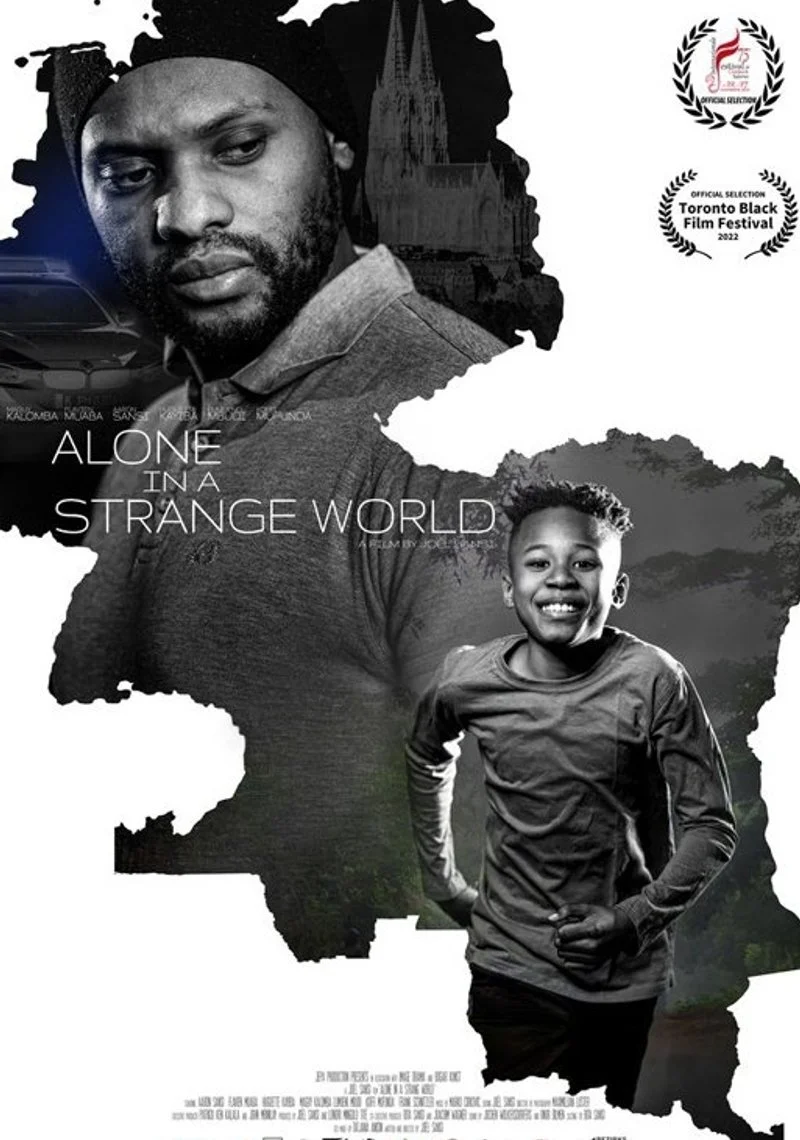 Affiche de Alone In a Strange World