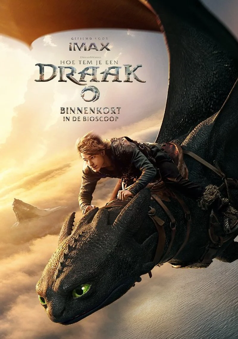 Poster van How to Train Your Dragon