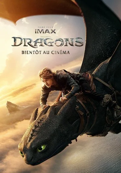 Affiche Dragons