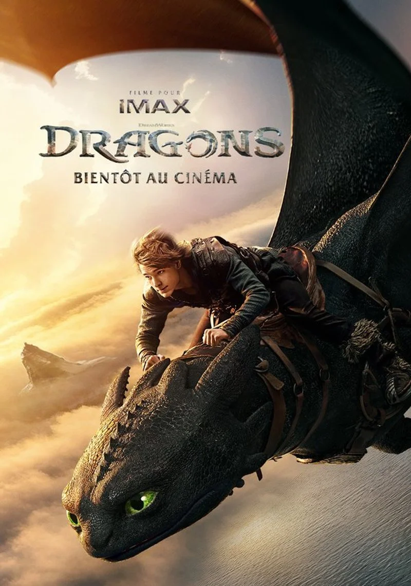 Affiche de Dragons