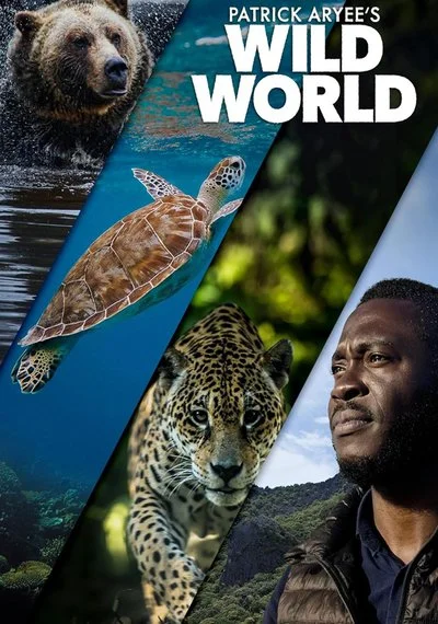 Affiche Patrick Aryee's Wild World