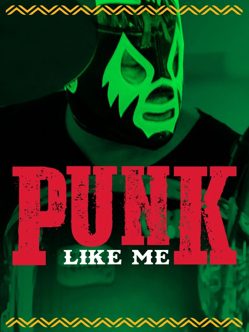 Poster van Punk Like Me