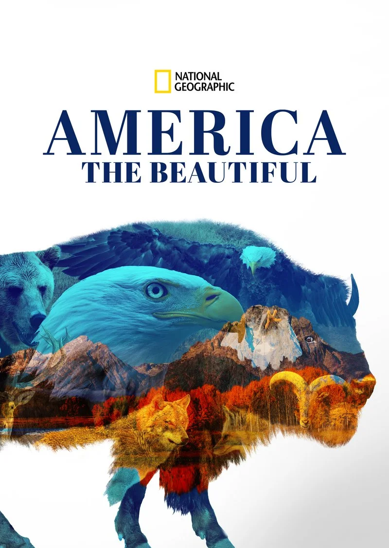 Poster van America the Beautiful