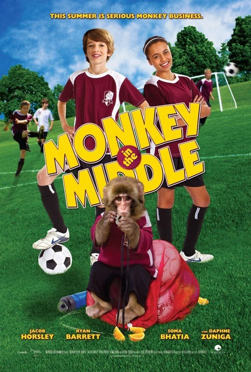 Affiche de Un amour de petit singe