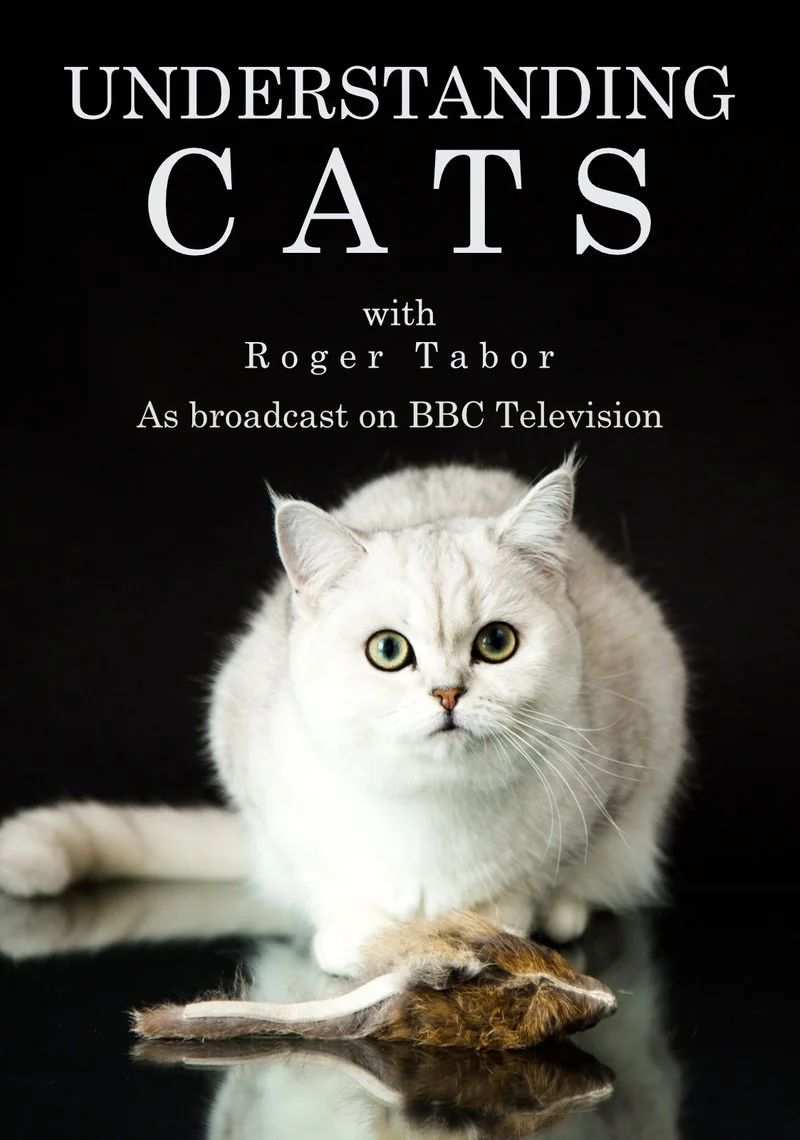 Poster van Understanding Cats