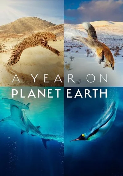 Poster A Year on Planet Earth