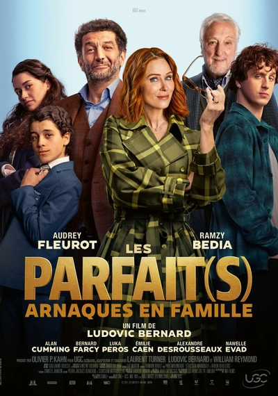 Poster Les Parfaits