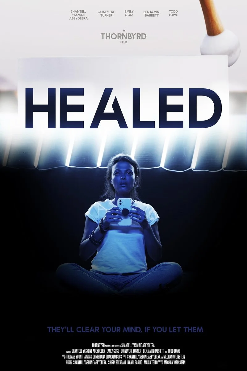 Affiche de Healed