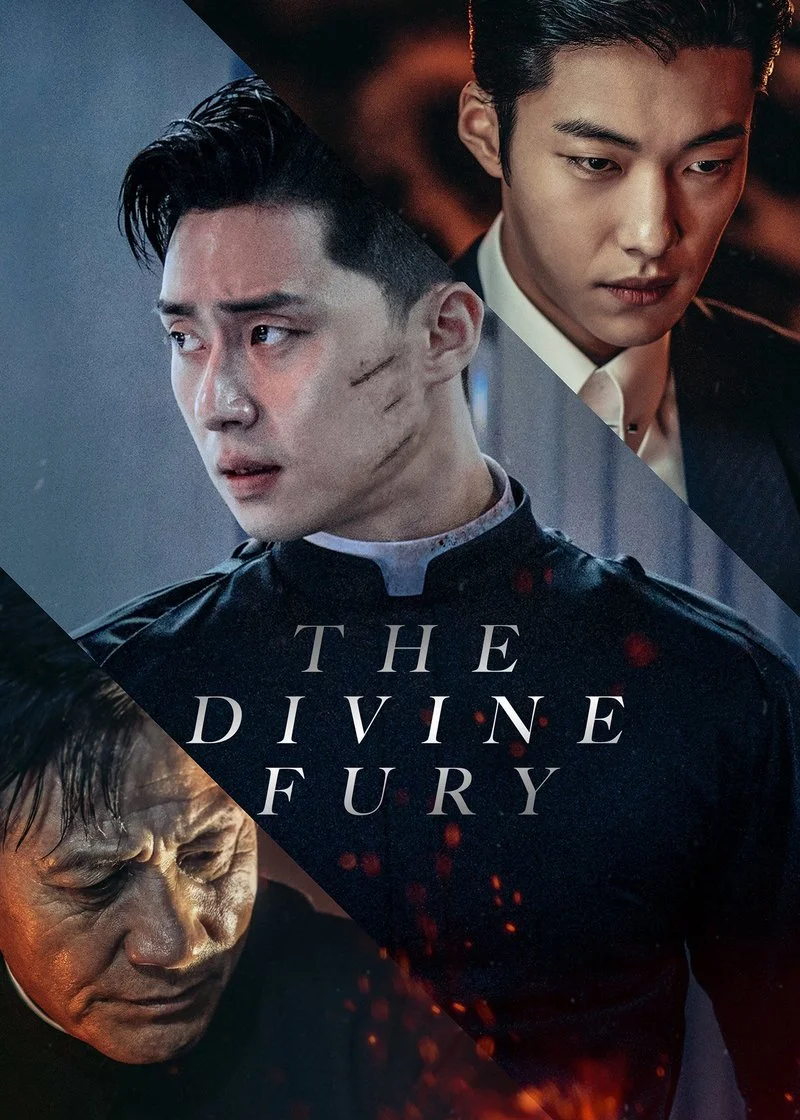 Affiche de The Divine Fury
