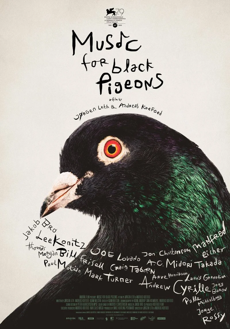 Affiche de Music for Black Pigeons