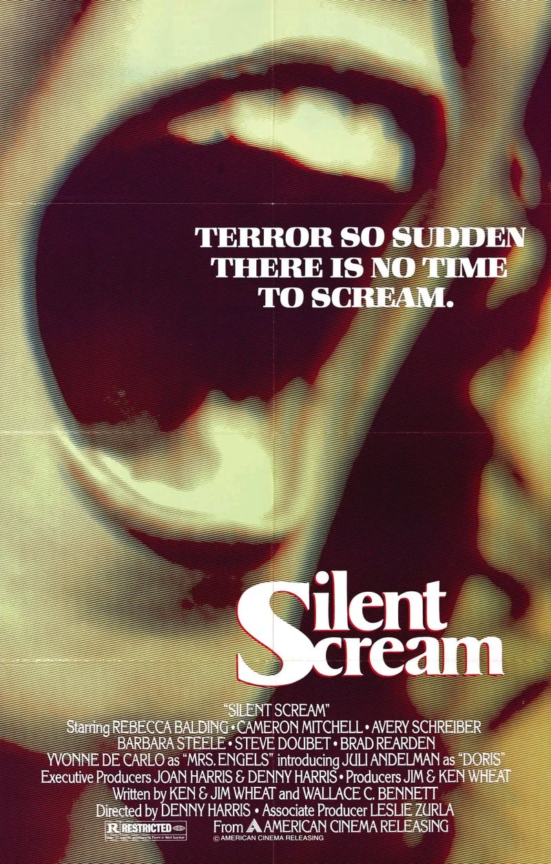 Affiche de Le Silence qui tue