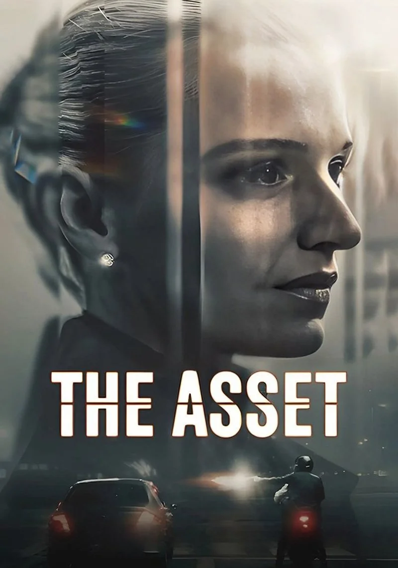 Affiche de The Asset