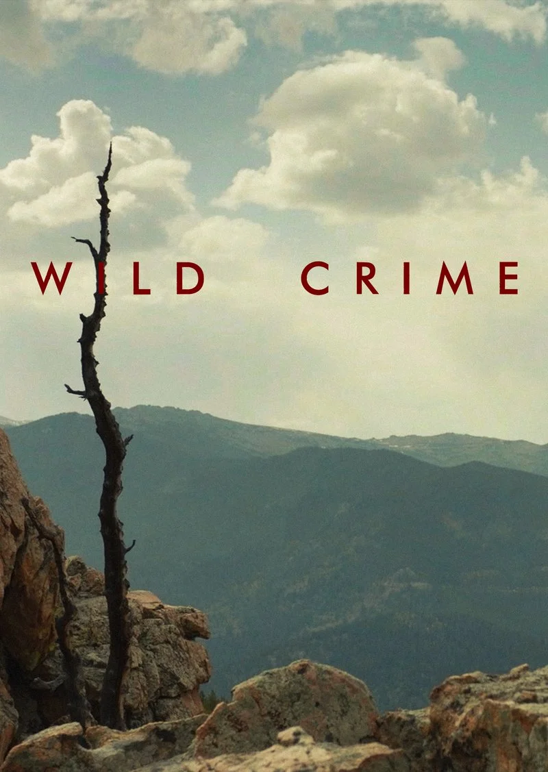 Poster van Wild Crime