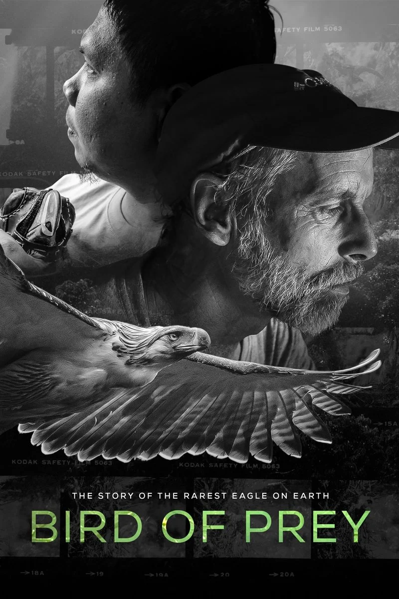 Poster van Bird of Prey
