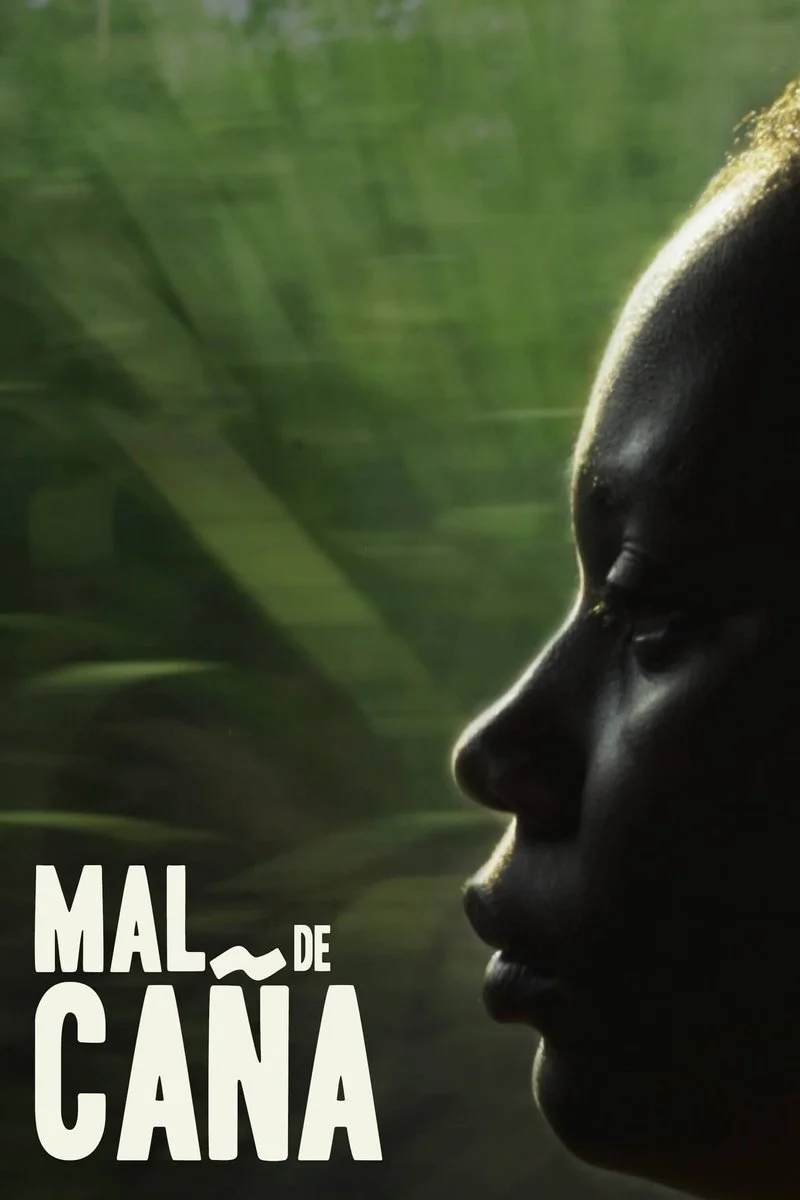 Poster van Mal de caña