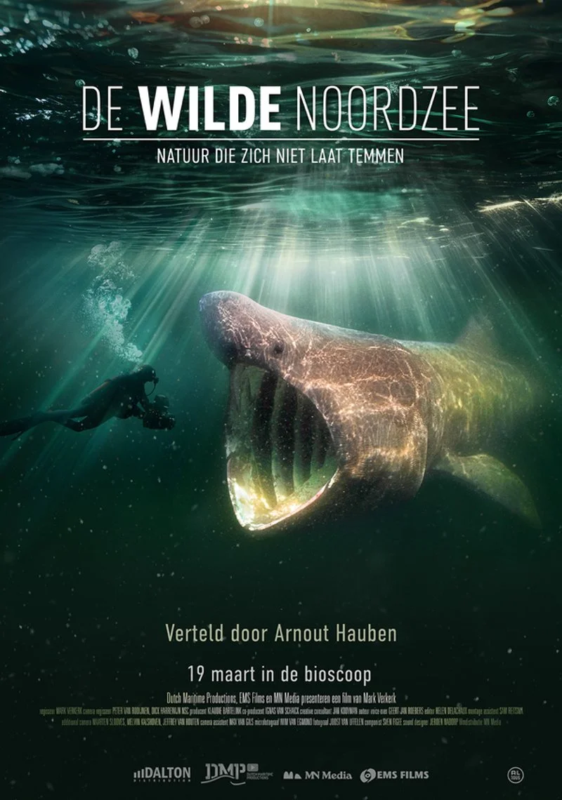 Poster van De Wilde Noordzee