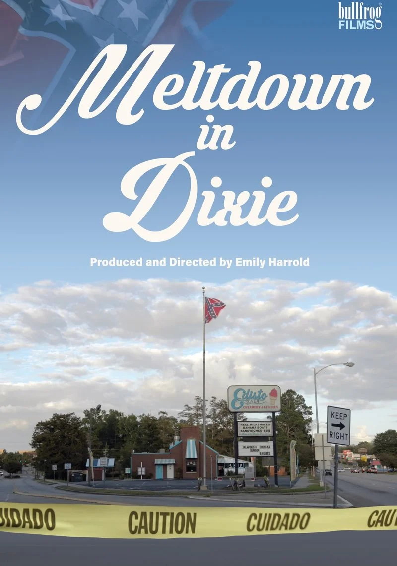 Affiche de Meltdown in Dixie