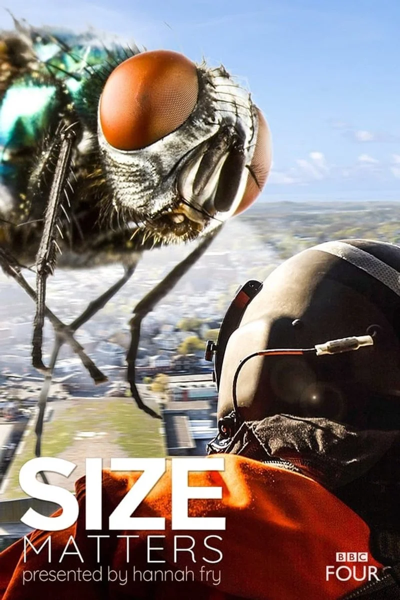 Affiche de Size Matters