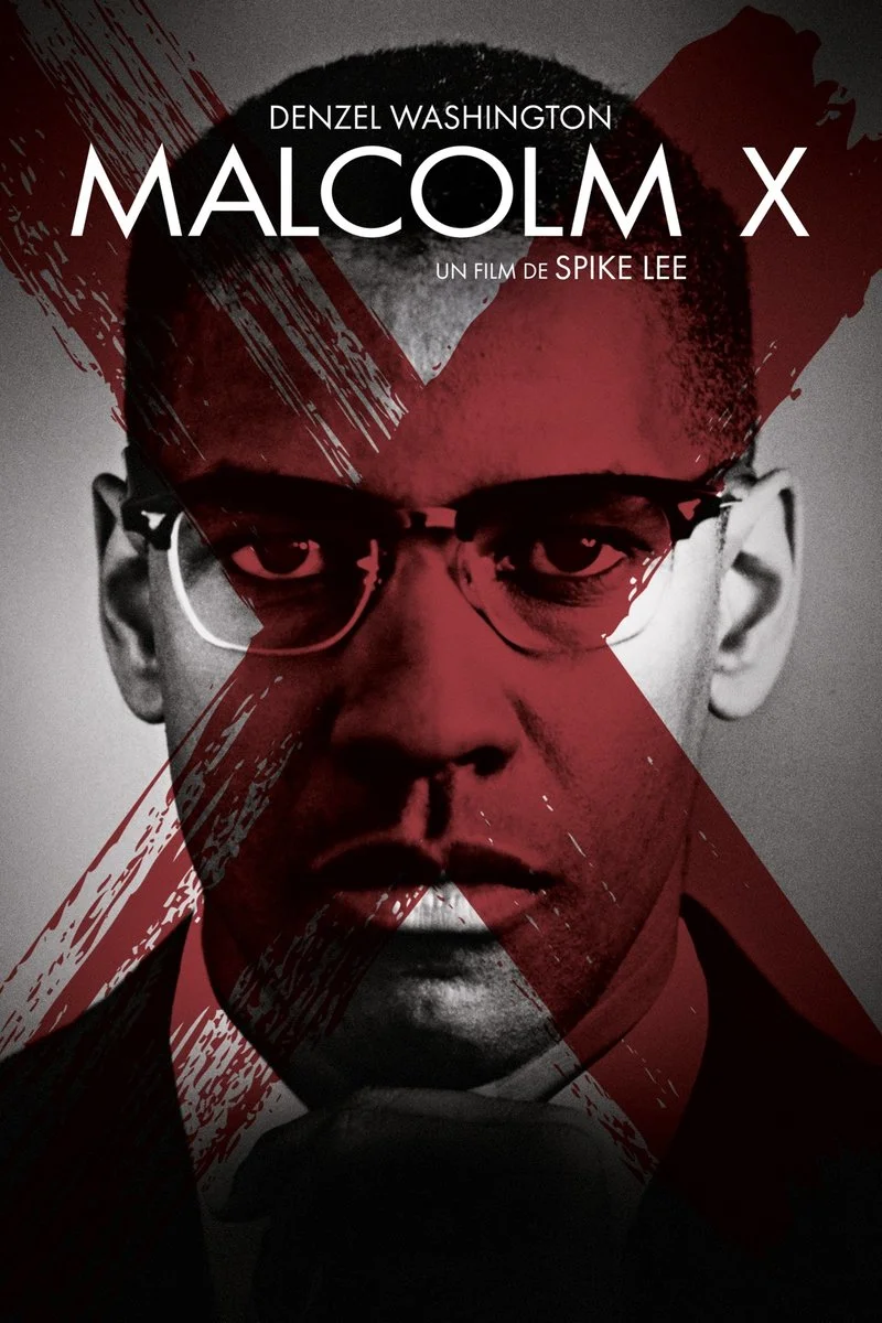 Poster van Malcolm X