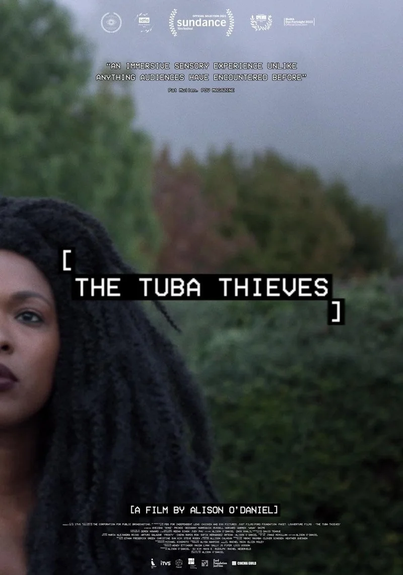 Poster van The tuba thieves