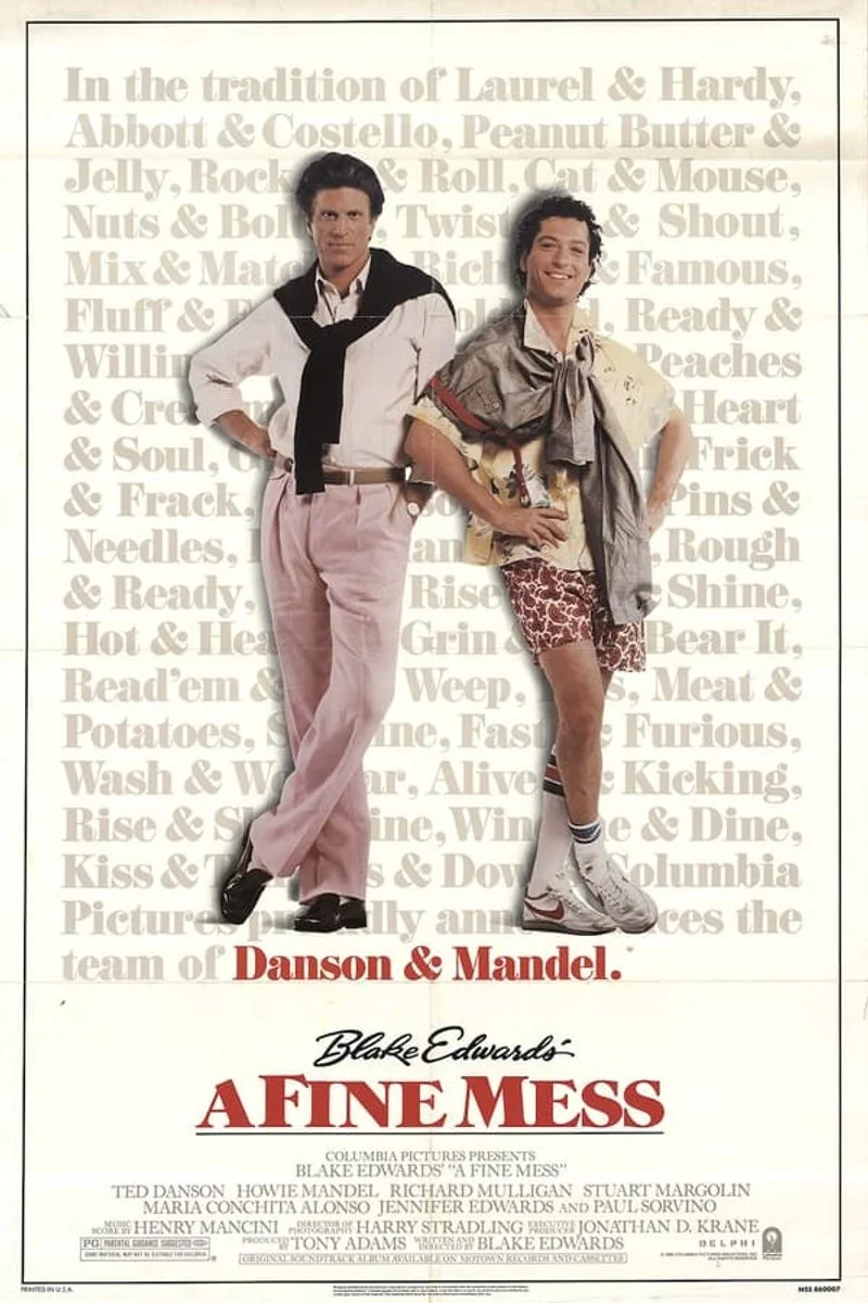 Affiche de A Fine Mess