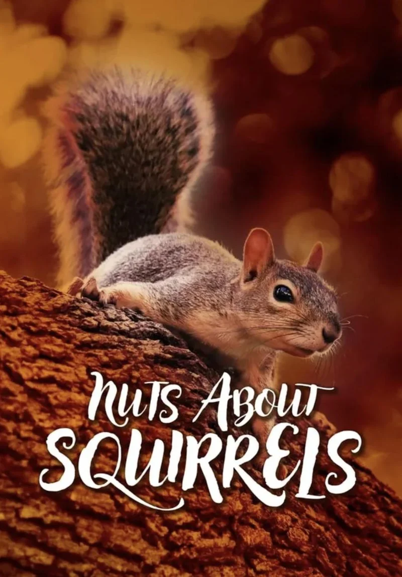 Poster van Nuts About Squirrels