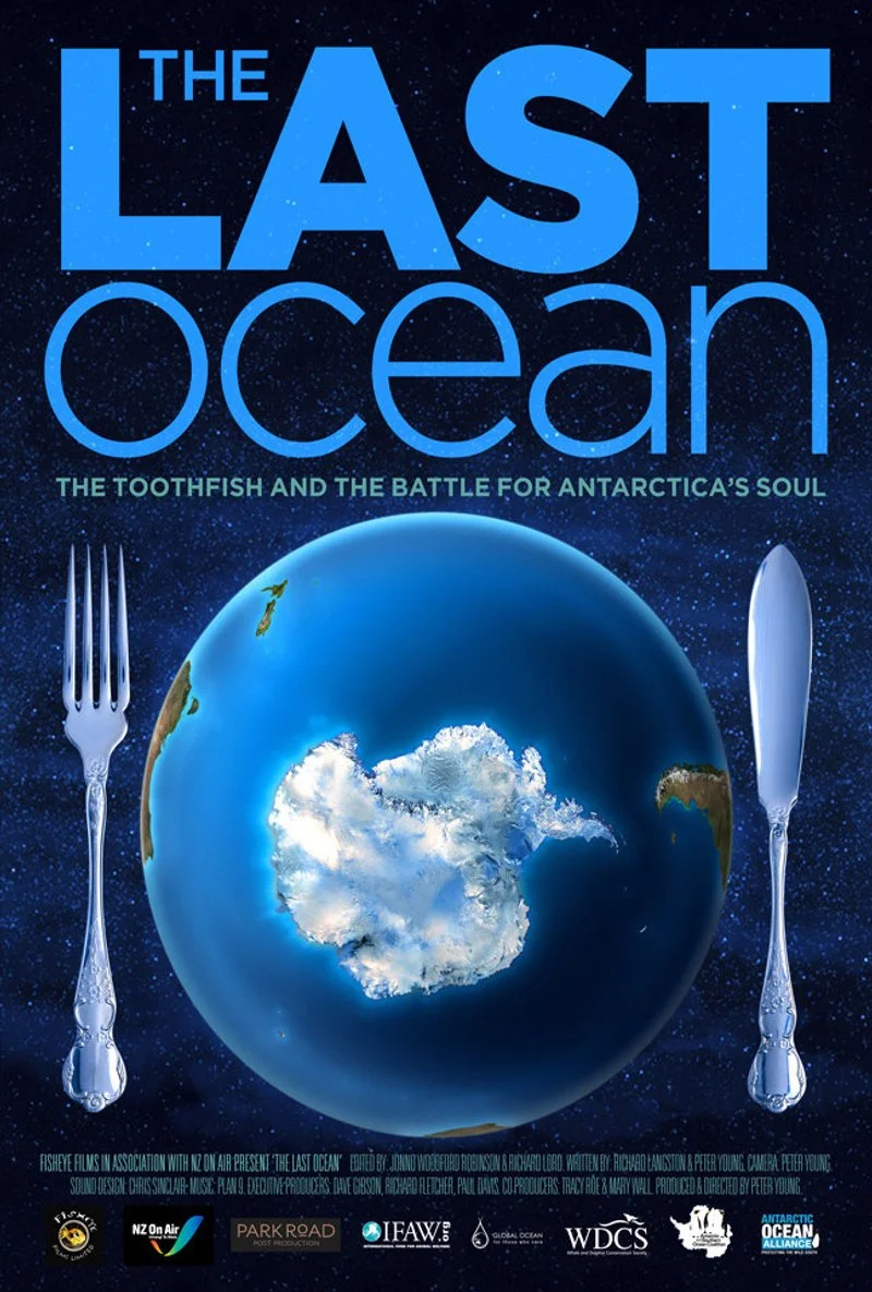 Affiche de The Last Ocean