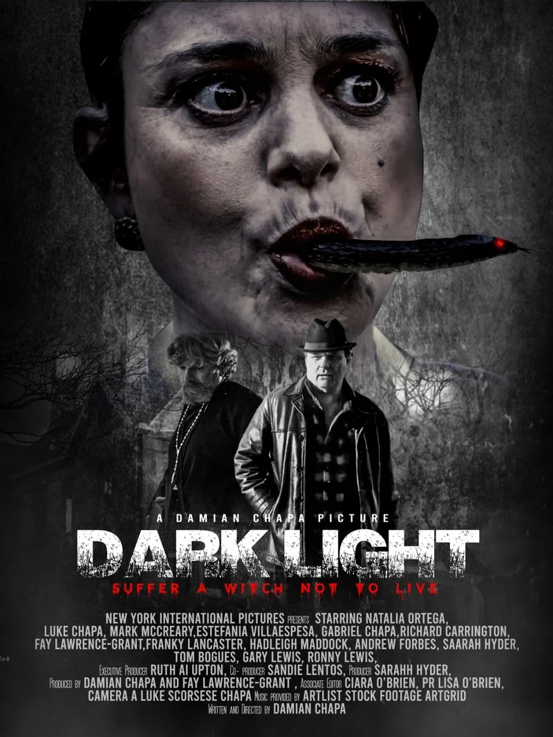 Affiche de Dark Light